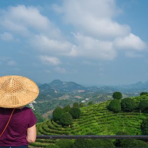 Beautiful closeup of a female leaning on the fences in Asian conical hat against mountains