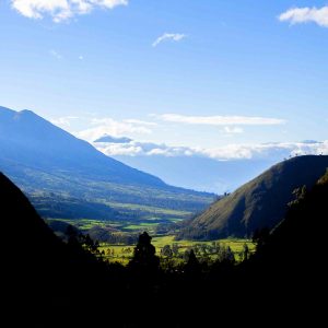 Comunidad y naturaleza