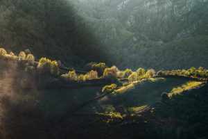 Luces de otoño bañan los bosques y montañas