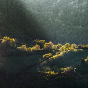 Luces de otoño bañan los bosques y montañas