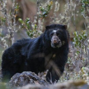 Artesanías y naturaleza